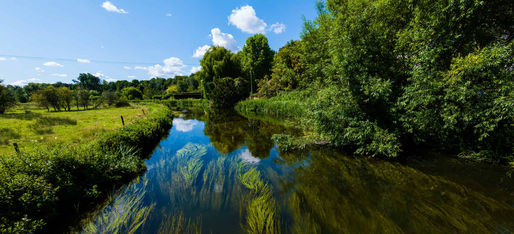 Flying over a chalk river in Wiltshire